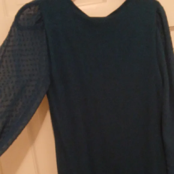DKNY Elegant Long Sleeve Dress in Rich Blue - Picture 7 of 7